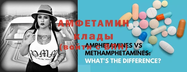 прущие грибы Пересвет